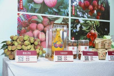 廣州荔枝采摘上市,今年將有巨美人、無核、嶺豐糯等新品種