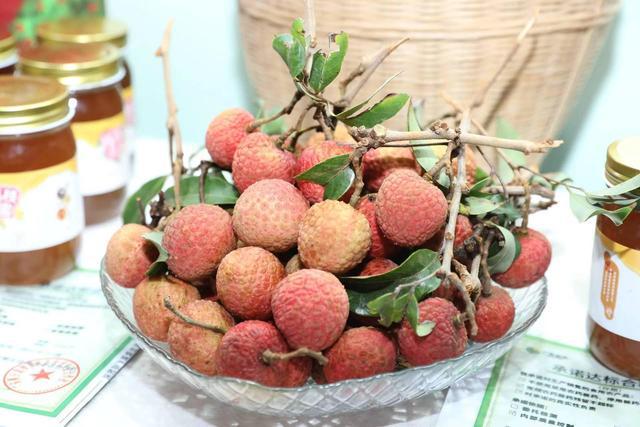 妃子笑、仙進(jìn)奉、掛綠&ldquo;排隊&rdquo;等上市,今年廣州還有&ldquo;無核荔枝&rdquo;