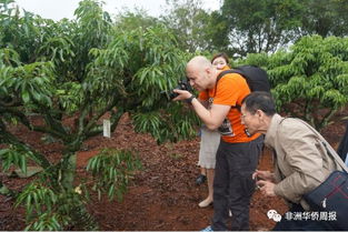 中外媒體聚焦陸僑農(nóng)業(yè)基地