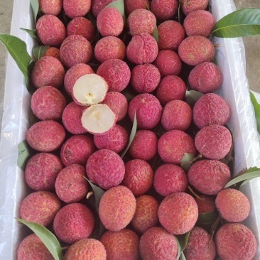 無核荔枝,支持3斤,5斤,10斤一件代發(fā)